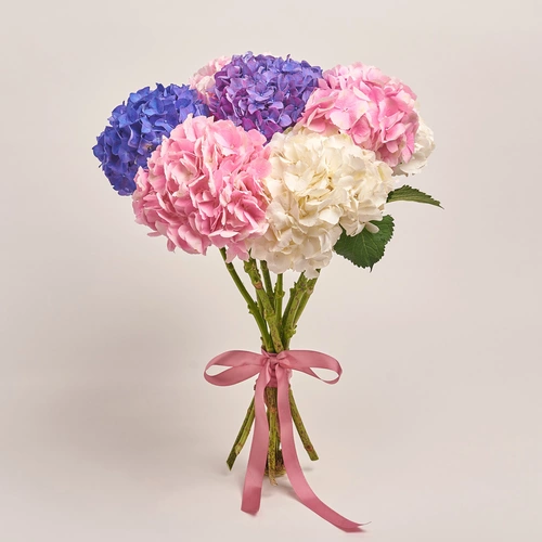 Product image Bouquet of 9 Pastel Hydrangeas mix, packaging: Without packaging, vendor code: 3532