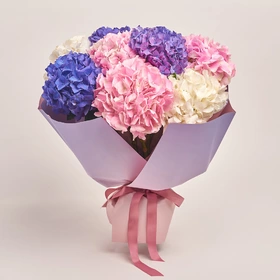 Bouquet of 9 Pastel Hydrangeas mix