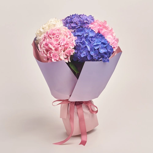 Product image Bouquet of 5 Pastel Hydrangeas Мix, packaging: Gradiens violet, vendor code: 3533