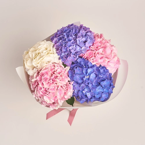 Product image Bouquet of 5 Pastel Hydrangeas mix, packaging: White, vendor code: 3533