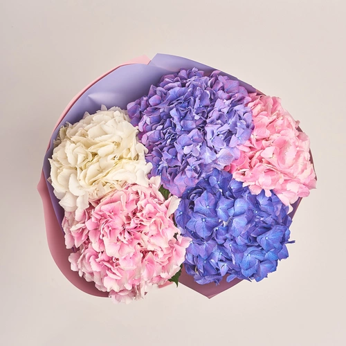 Product image Bouquet of 5 Pastel Hydrangeas Мix, packaging: Gradiens violet, vendor code: 3533