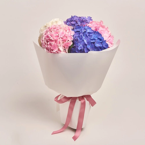 Product image Bouquet of 5 Pastel Hydrangeas mix, packaging: White, vendor code: 3533