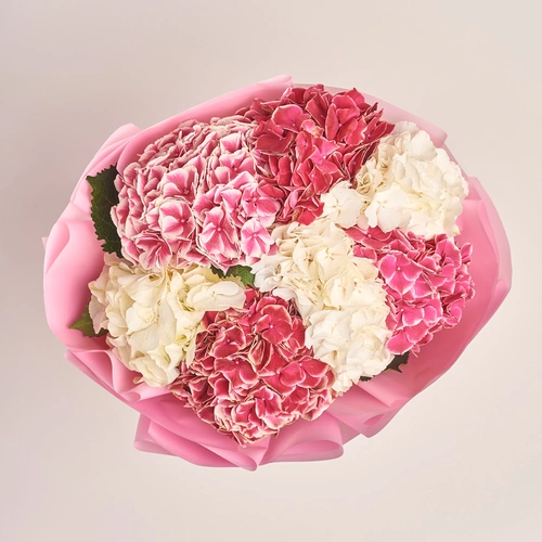 Product image Bouquet of 7 White and Crimson Hydrangeas mix, packaging: Pink, vendor code: 3535