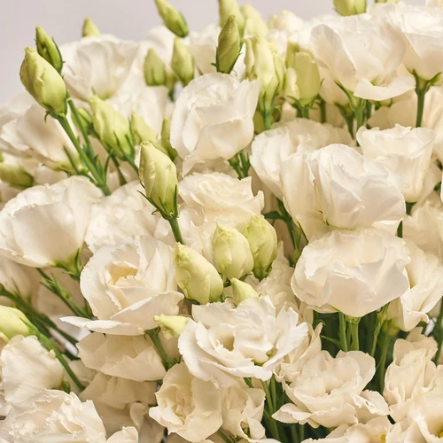 Product image Box of 51 White Eustomas, packaging: Blue, vendor code: 3537