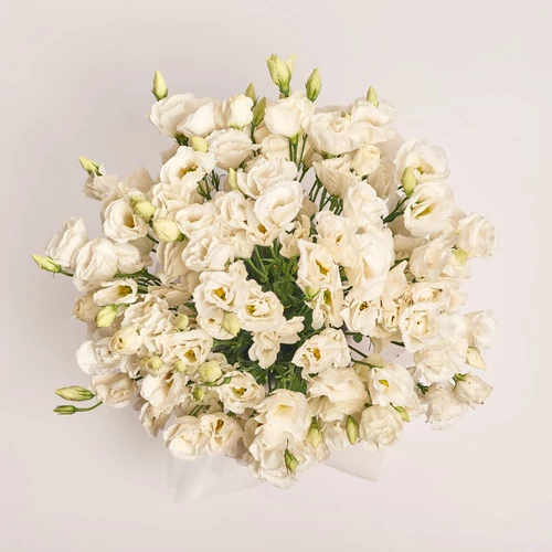 Product image Box of 25 White Eustomas, packaging: Red, vendor code: 3538