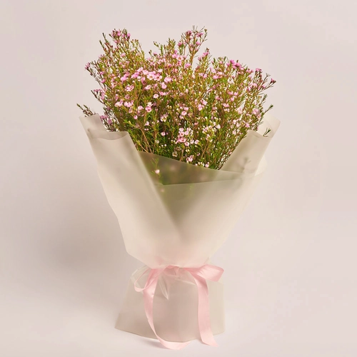 Product image Bouquet of 15 Pink Chamelauciums, packaging: Transparent, vendor code: 3540