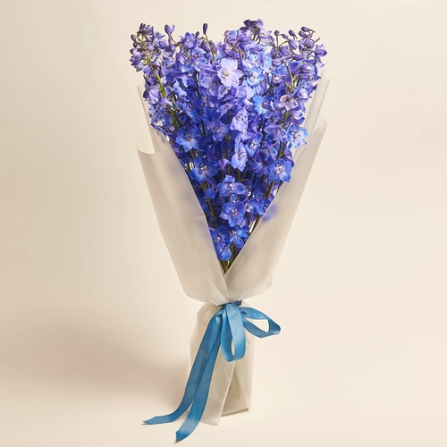 Product image Bouquet of 15 Blue Delphiniums, packaging: Transparent, vendor code: 3541