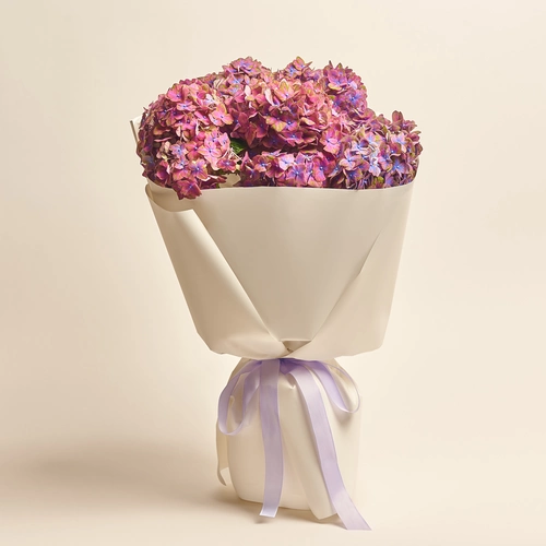 Product image Bouquet of 5 Lilac Hydrangeas Bicolor, packaging: White, vendor code: 3542