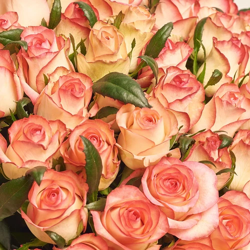 Product image Bouquet of 101 Jumilia Roses, packaging: Kafin rose, vendor code: 3545