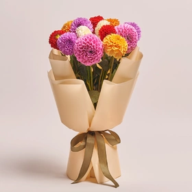 Bouquet of 15 Dahlias Mix