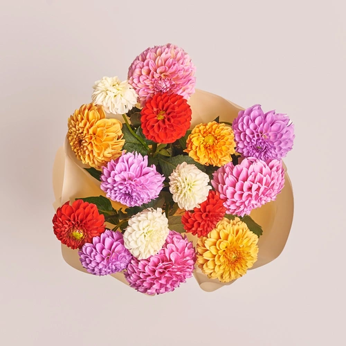 Product image Bouquet of 15 Dahlias Mix, packaging: Peach, vendor code: 3547