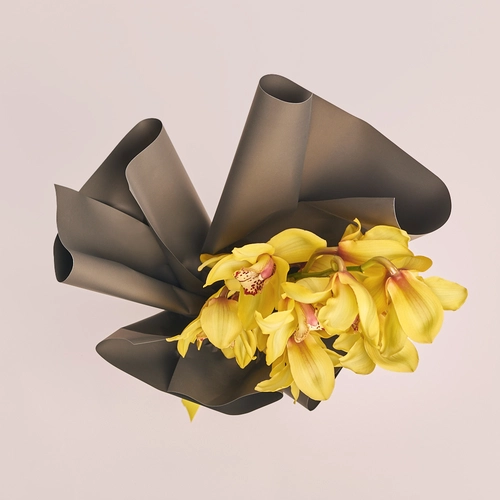 Product image Bouquet of 1 Yellow Cymbidium, packaging: 
Graphite, vendor code: 3548