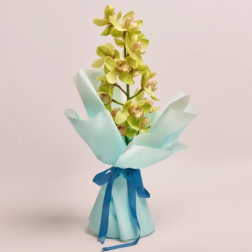 Product image Bouquet of 1 Green Cymbidium, packaging: Blue, vendor code: 3549