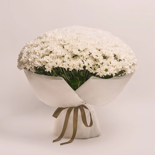 Product image Bouquet 101 Chrysanthemum Chamomile, packaging: Transparent, vendor code: 3550