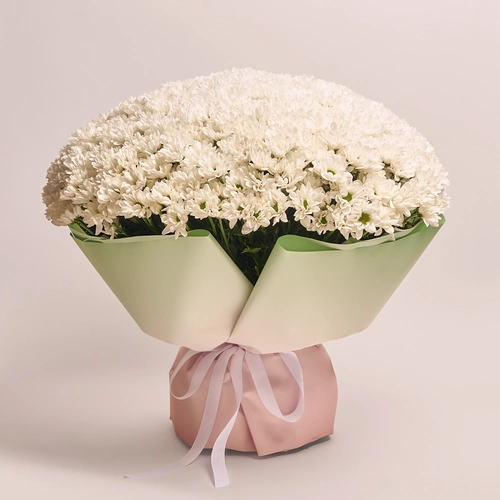 Product image , vendor code: 