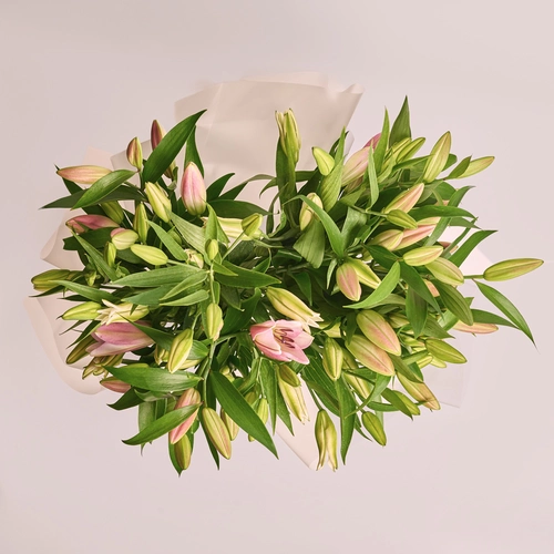 Product image Bouquet of 15 Lilies Mix, packaging: Transparent, vendor code: 3551