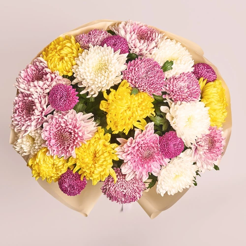 Product image Bouquet of 25 Single Chrysanthemums Mix, packaging: Peach, vendor code: 3554