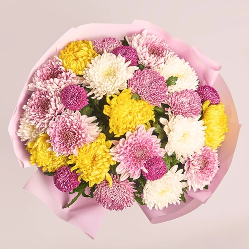 Product image Bouquet of 25 Single Chrysanthemums Mix, packaging: Pink, vendor code: 3554