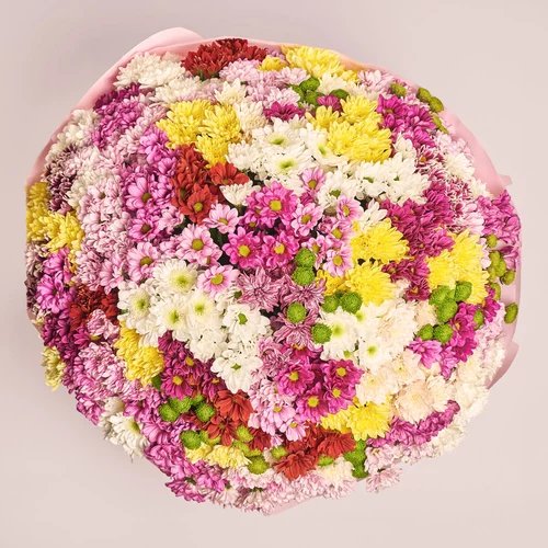 Product image Bouquet of 101 Chrysanthemums Mix, packaging: Pink, vendor code: 3556