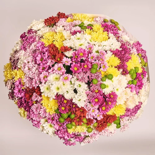 Product image Bouquet of 101 Chrysanthemums Mix, packaging: White, vendor code: 3556
