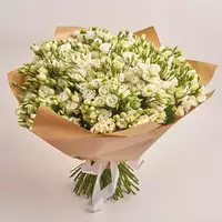 Bouquet 101 White Eustoma