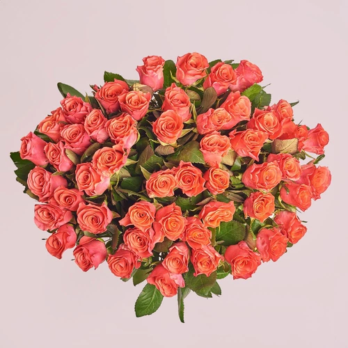 Product image Bouquet of 51 Roses Pink Tacazzi, packaging: Without packaging, vendor code: 3558