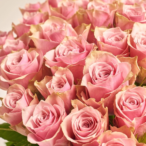 Product image Bouquet of 51 Roses Athena Royal, packaging: Gradiens light blue, vendor code: 3559