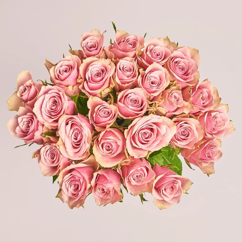 Зображення товару Букет 25 Троянд Атена Роял, пакування: Без упаковки, артикул: 3562