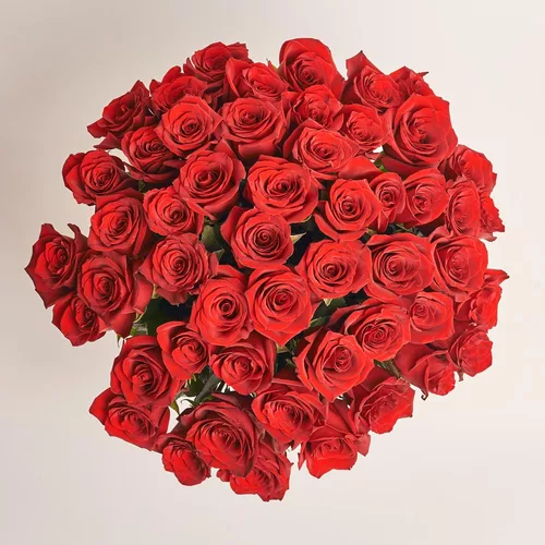 Product image Bouquet 51 Red Rose Explorer, packaging: Without packaging, vendor code: 3561