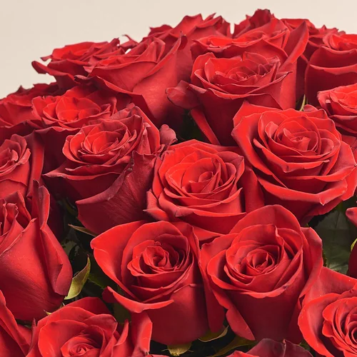 Product image Bouquet 51 Red Rose Explorer, packaging: Green, vendor code: 3561