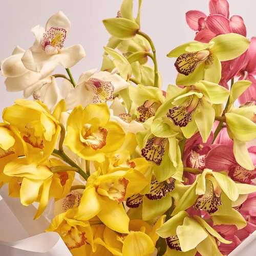 Product image Bouquet of 5 Cymbidium's branches mix, packaging: White, vendor code: 3565