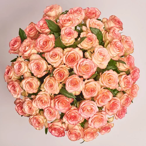 Product image Box of 51 Jumilia Roses, packaging: Pink, vendor code: 3566