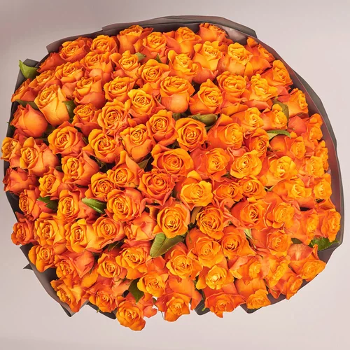 Product image Bouquet of 101 Orange Roses, packaging: 
Graphite, vendor code: 3567