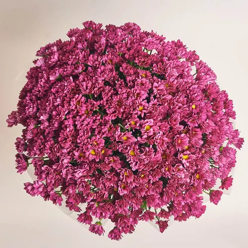 Product image Bouquet 51 Violet Chrysanthemum Chamomile, packaging: Transparent, vendor code: 3570