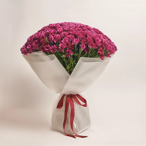 Product image Bouquet 51 Violet Chrysanthemum Chamomile, packaging: Transparent, vendor code: 3570