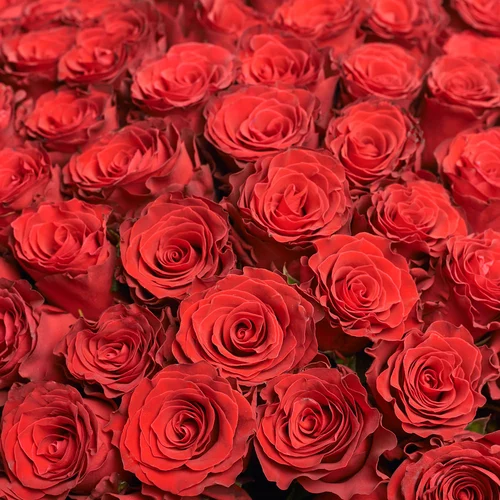Product image Bouquet 201 Red Roses Rhodos, packaging: Cream, vendor code: 3571
