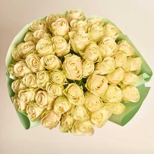 Product image Bouquet of 51 Roses Albatros, packaging: Gradiens pink, vendor code: 3572