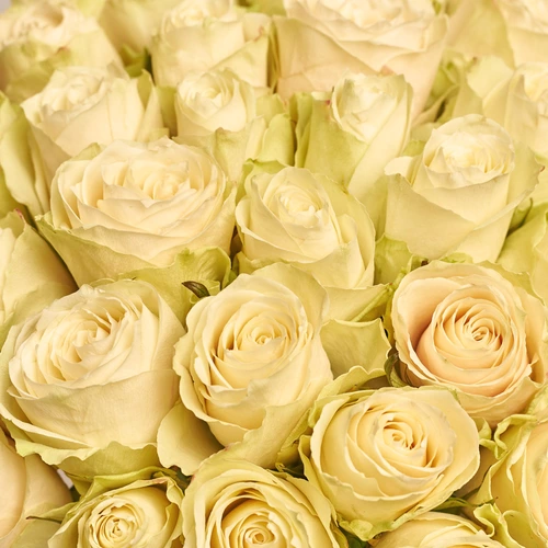 Product image Bouquet of 51 Roses Albatros, packaging: 
Graphite, vendor code: 3572