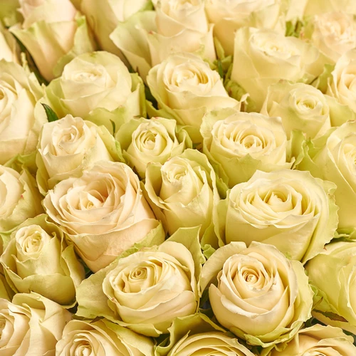 Product image Bouquet of 101 Roses Albatros, packaging: Pink, vendor code: 3573