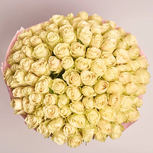 Product image Bouquet of 101 Roses Albatros, packaging: Pink, vendor code: 3573