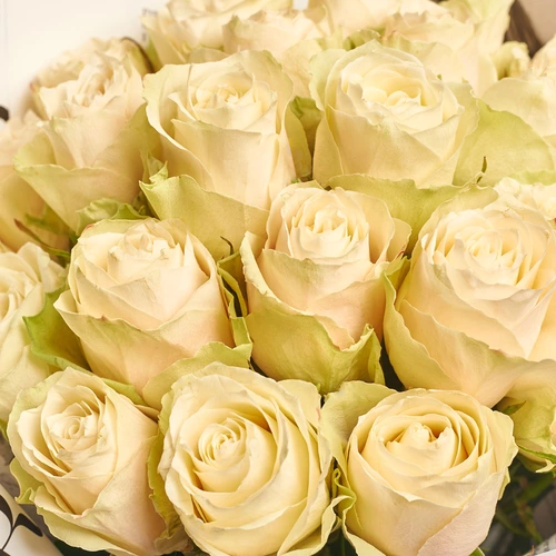 Изображение товара Букет 25 Роз Альбатрос, упаковка: Градиент голубой, артикул: 3574