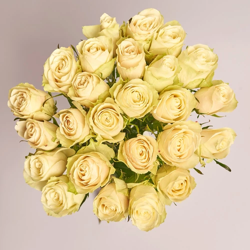 Product image Bouquet of 25 Roses Albatros, packaging: Without packaging, vendor code: 3574