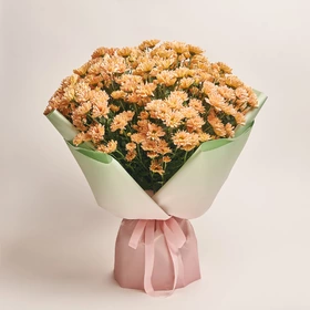 Bouquet of 25 Salmon Chrysanthemums Chamomile