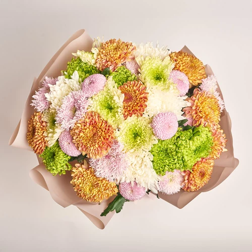 Зображення товару Букет 35 однобутонних Хризантем Мікс, пакування: Пудрова, артикул: 3579