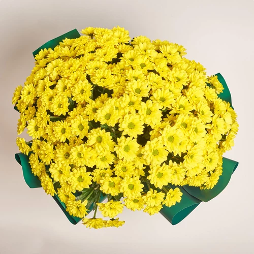 Product image Bouquet of 25 Yellow Daisies Chrysanthemums, packaging: Green, vendor code: 3580