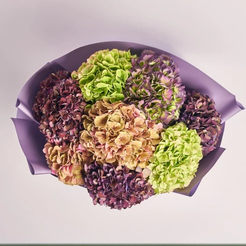 Product image Bouquet of 9  Hydrangeas Mix Classic, packaging: Gradiens violet, SKU: 3581