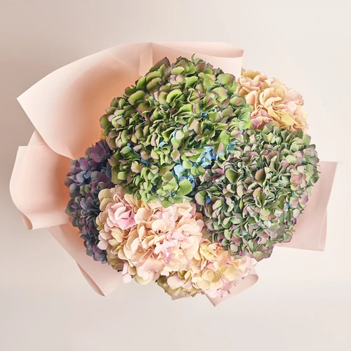 Product image Bouquet of 9  Hydrangeas Mix Classic, packaging: Kafin cream, vendor code: 3581