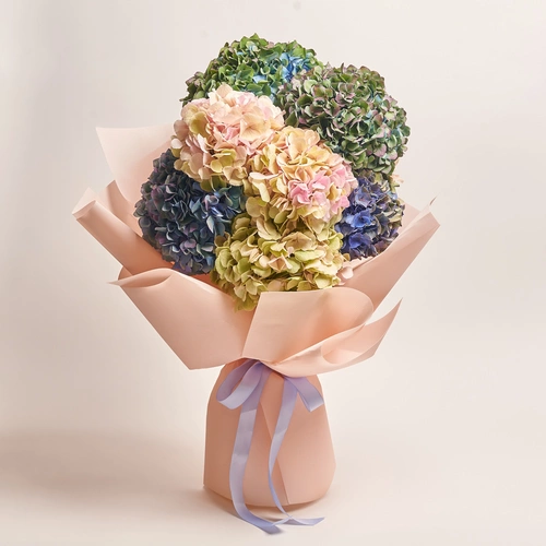 Product image Bouquet of 9  Hydrangeas Mix Classic, packaging: Kafin cream, vendor code: 3581