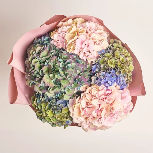 Product image Bouquet of 5 Hydrangeas Mix Classic, packaging: Gradiens tiffany, vendor code: 3582