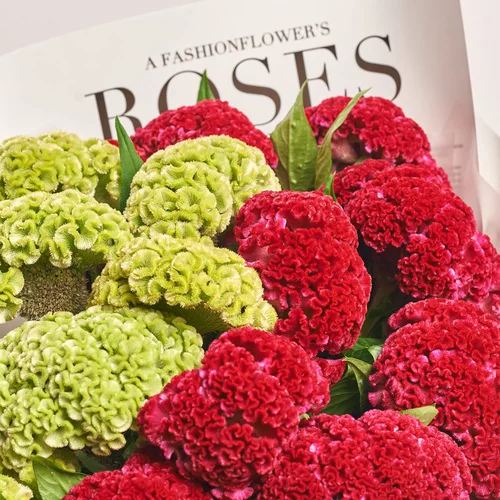 Product image Bouquet of 15 Celosias Mix, packaging: Newspaper, vendor code: 3583